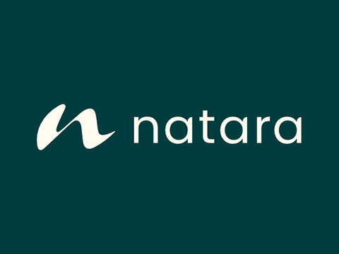 responsive design, media queries & Wordpress, mobile development on the Natara Global website